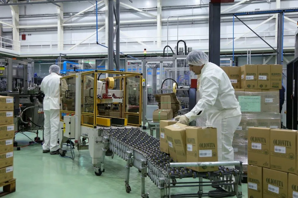 Sol Frut es una de las principales productoras de aceite de oliva del país.