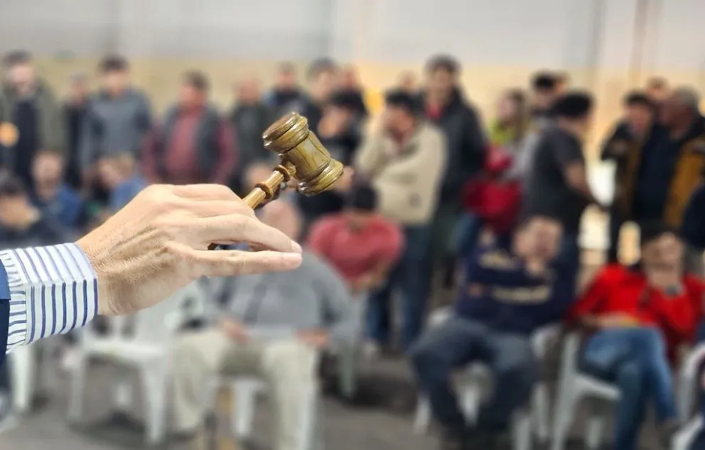Un grupo de martilleros públicos demandó al presidente del Consejo Profesional, Daniel Héctor Molina.